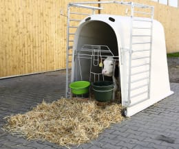 Lifestyle: KERBL Kälberiglu CalfHouse Premium Plus für 1 Kalb, mit schwerer Umzäunung