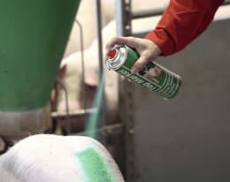 Lifestyle: TopMarker Markierungsspray grün, 500 ml, für Tierkennzeichnung, 20157