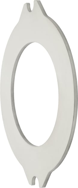 Produktbild: Fendt Außenlamelle Ø außen 255 mm, für Scheibenbremse Vario 500, 700
