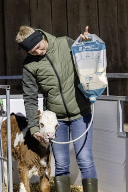Lifestyle: Frau füttert Kalb mit TRUSTI® Colostrum Bag