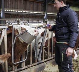 Lifestyle: Vink Kopfstütze für Rinder