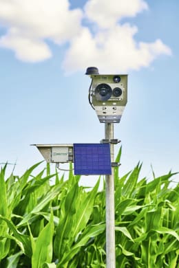 Lifestyle: METOS® Kamera CropVIEW Dual für Fernüberwachung auf Feld und im Stall