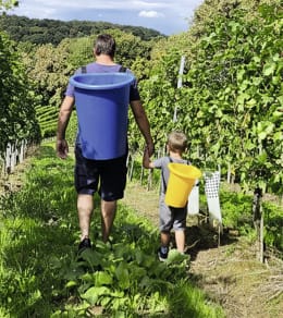 Lifestyle: roto® Tragebütte 60 l blau, Polyethylen, 2130064820