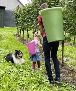 Lifestyle: roto® Tragebütte 60 l grün, Polyethylen, 2140064820