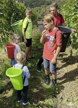 Produktbild: roto® Kindertragebütte 10 l hellgrün, Polyethylen, 2141064900