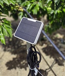 Lifestyle: Bewässerungssteuerung mit Solarpanel im Einsatz zwischen Tomatenpflanzen im Garten