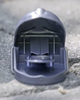Produktbild: cit® Mausefalle mouseStop