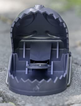 Produktbild: cit® Rattenfalle ratStop