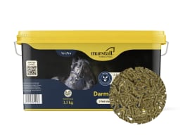 Produktbild: marstall® Darm-Regulator bei Kotwasser und ähnlichen Darmbeschwerden