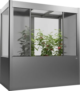 Lifestyle: biohort Gewächshaus Florentina in Quarzgrau-Metallic mit Tomatenpflanzen