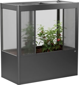 Produktbild: biohort® Gewächshaus Florentina