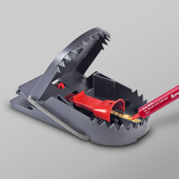 Produktbild: SWISSINNO Köderspritze für Mause-/Rattenfalle SuperCat, Pro SuperCat
