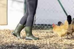 Lifestyle: nora Gummistiefel Ranch Low