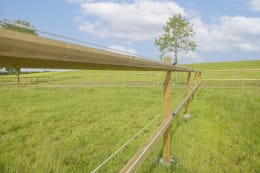 Lifestyle: Ako Ringisolator 2K EDX, Holzgewinde selbstschneidend, für Draht, Litze, Seil, Band 10 mm