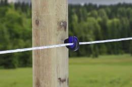 Lifestyle: Ako Ringisolator 2K EDX, Holzgewinde selbstschneidend, für Draht, Litze, Seil, Band 10 mm