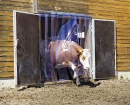 Lifestyle: KERBL Streifenvorhang 1.300 x 2.250 mm für Paddock- und Boxentüren, Komplettset