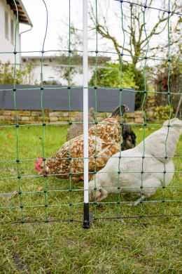 Lifestyle: Ako Geflügelzaun PoultryNet Maxi stromführend