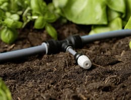Lifestyle: biohort® Bewässerungssystem für Hochbeet Belvedere, Gewächshaus Florentina