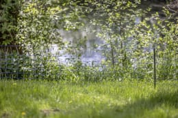 ART_AdditionalAssets_07