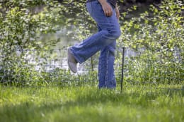 Lifestyle: Ako Wildzaun 50 cm/50 m, stromführend