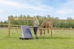 Lifestyle: Ako Weidezaungerät Solar Station L smart