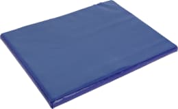 Produktbild: KERBL Desinfektionsmatte 6 l, 550 x 450 x 30 mm, blau, 16490