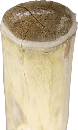 ART_AdditionalAssets_06
