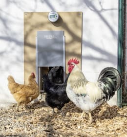 Lifestyle: KERBL Türöffner mit Seilzug für automatische Hühnerklappe manuelle Steuerung