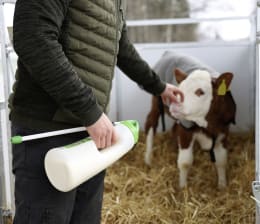 Lifestyle: KERBL Kälberflasche Milky Drencher mit Sonde