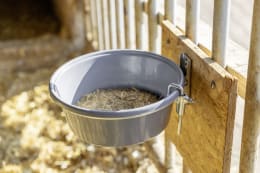 Produktbild: KERBL Eimerhalter 280 mm, rund, zum Anschrauben, mit Auswurfsicherung, klappbar