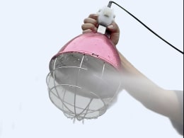 Produktbild: KERBL Infrarotheizstrahler Splash 175 W, 225274