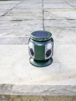 Produktbild: cit® Ultraschall-Tiervertreiber MultiSonic gegen Katzen, Hunde, Marder, Waschbären, Nagetiere etc.