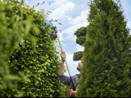 Lifestyle: Mann schneidet Hecke mit GARDENA Akku-Grasschere PowerCut 20 auf Teleskopstiel
