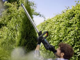 Lifestyle: Mann schneidet Hecke mit GARDENA Akku-Heckenschere EasyCut 55