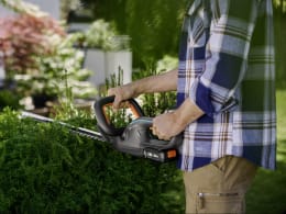 Lifestyle: Mann schneidet Hecke mit GARDENA Akku-Heckenschere EasyCut 55 im Garten