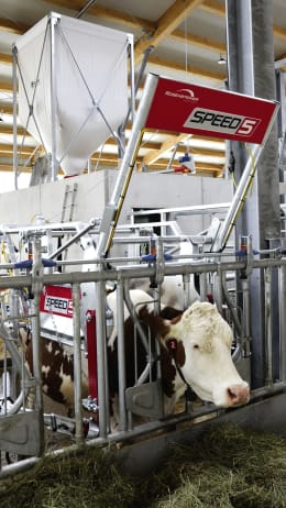Lifestyle: ROSENSTEINER Klauenpflegestand Speed 5