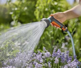Lifestyle: GARDENA Gartenbrause Classic beim Bewässern von Lavendelpflanzen im Garten