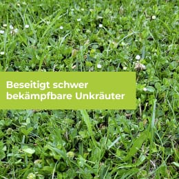 Lifestyle: Protect Garden Unkrautvernichter Loredo® Quattro Universal Rasenunkrautfrei