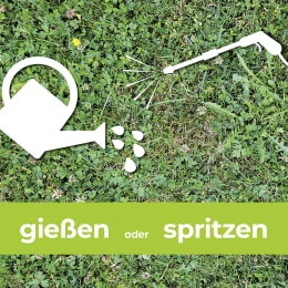 Set: Protect Garden Unkrautvernichter Loredo® Quattro Universal Rasenunkrautfrei