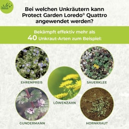 Detailbild: Protect Garden Unkrautvernichter Loredo® Quattro Universal Rasenunkrautfrei