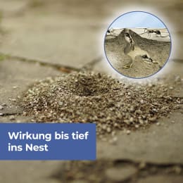 Produktbild: Protect Home Ameisenköder FormineX gegen Ameisen auf Terrassen, Balkonen, Wegen