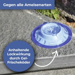Lifestyle: Protect Home Ameisenköder FormineX gegen Ameisen auf Terrassen, Balkonen, Wegen