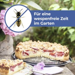 Produktbild: Protect Home Wespenspray FormineX Spezial
