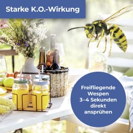 Produktbild: Protect Home Wespenspray FormineX Spezial