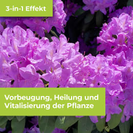 Detailbild: Protect Garden Pflanzenschutzmittel Alitis Spezial-Pilzfrei 40 g