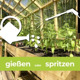 Lifestyle: Protect Garden Pflanzenschutzmittel Alitis Spezial-Pilzfrei 40 g