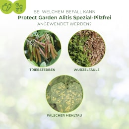 Detailbild: Protect Garden Pflanzenschutzmittel Alitis Spezial-Pilzfrei 40 g