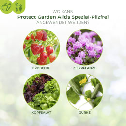 Detailbild: Protect Garden Pflanzenschutzmittel Alitis Spezial-Pilzfrei 40 g