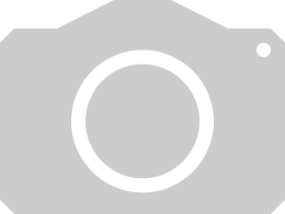 ART_AdditionalAssets