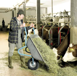 Lifestyle: mefro Schubkarre Export 100